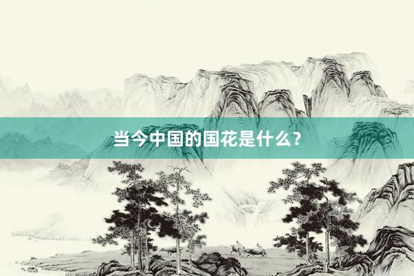当今中国的国花是什么？